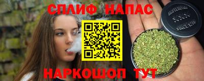 сатива Волжский